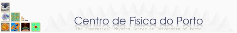 Centro de Física da Universidade do Porto